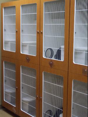 Raintree Cat Condo Units